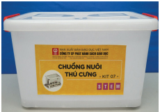 Giáo dục STEM tiểu học